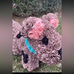 Scooby doo rose dog